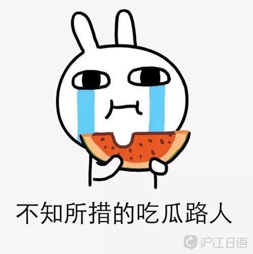 中山吃瓜娱乐圈最新事件,中山吃瓜，最新事件揭秘